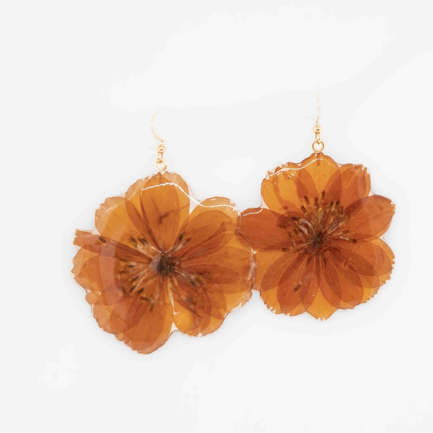 Orange Cosmos Earrings